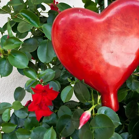 Couette-café Haus Steinbock Neustift im Stubaital
