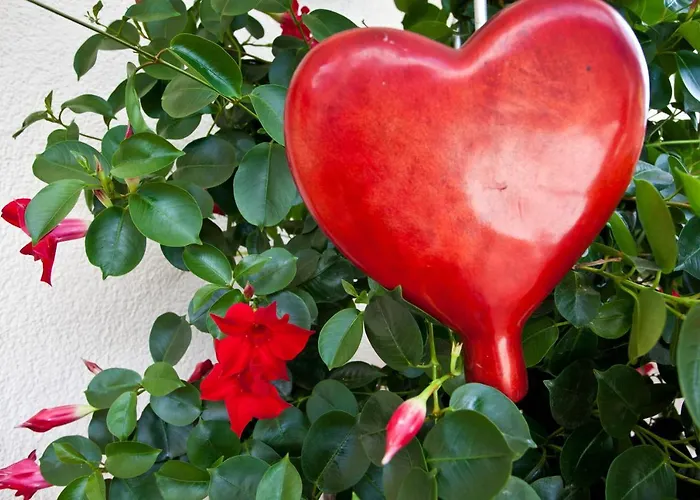 Couette-café Haus Steinbock Neustift im Stubaital